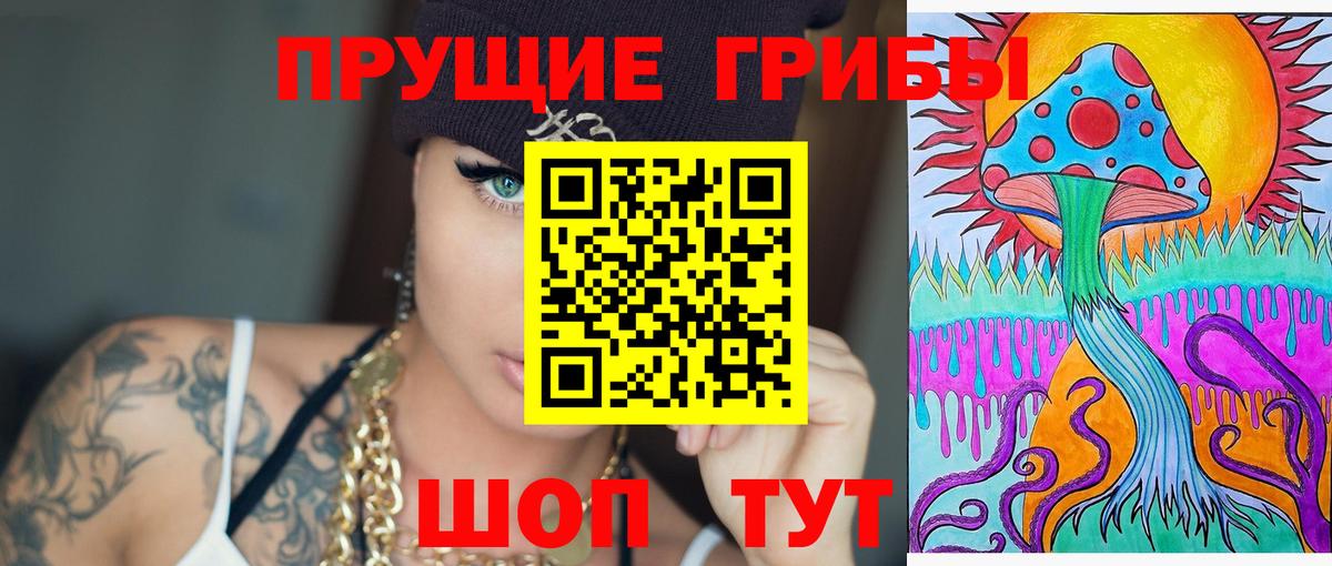 Псилоцибиновые грибы мицелий  Галлюциногенные грибы GOLDEN TEACHER  наркотики  Кириши  Вход с VPN 
