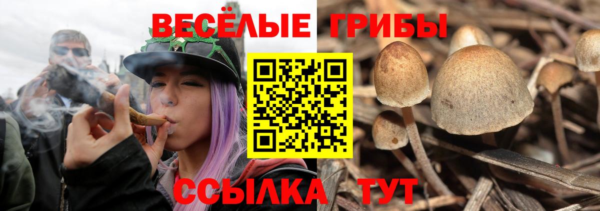  COCAIN Кириши